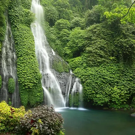 Rustic Waterfall Cabin Munduk Wanagiri With Pool